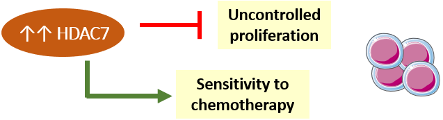 HDAC7 New pharmaceutical treatment for infant t(4;11) pro-B-ALL.