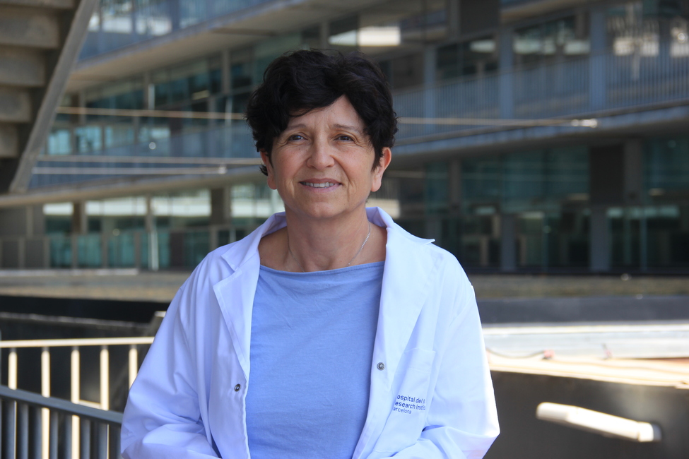 Anna Bigas co-leads a new project on T-cell Acute Lymphoblastic Leukaemia, funded by the Deutsche José Carreras Leukämie-Stiftung