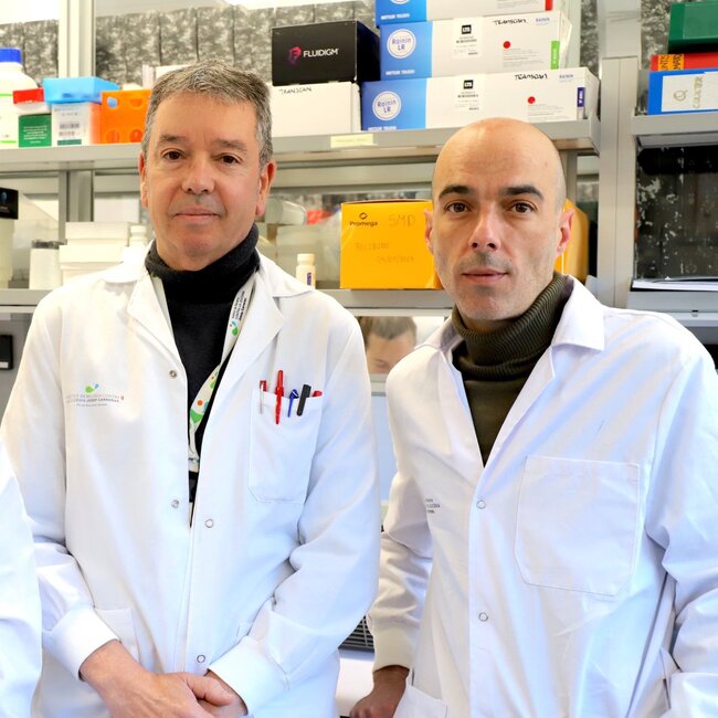 Investigadors de l'Institut Josep Carreras proven un cribratge genètic assequible i fiable per pacients amb càncer
