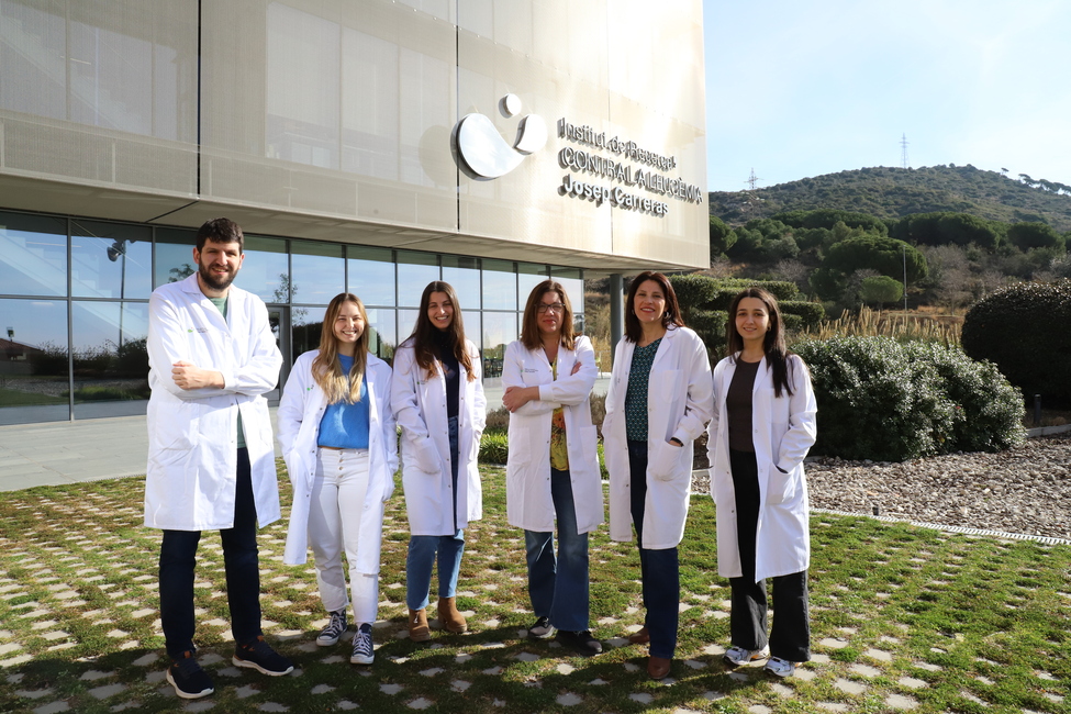 Identifiquen un “interruptor protector” en el càncer de la sang més freqüent que obre noves vies pel seu diagnòstic i tractament