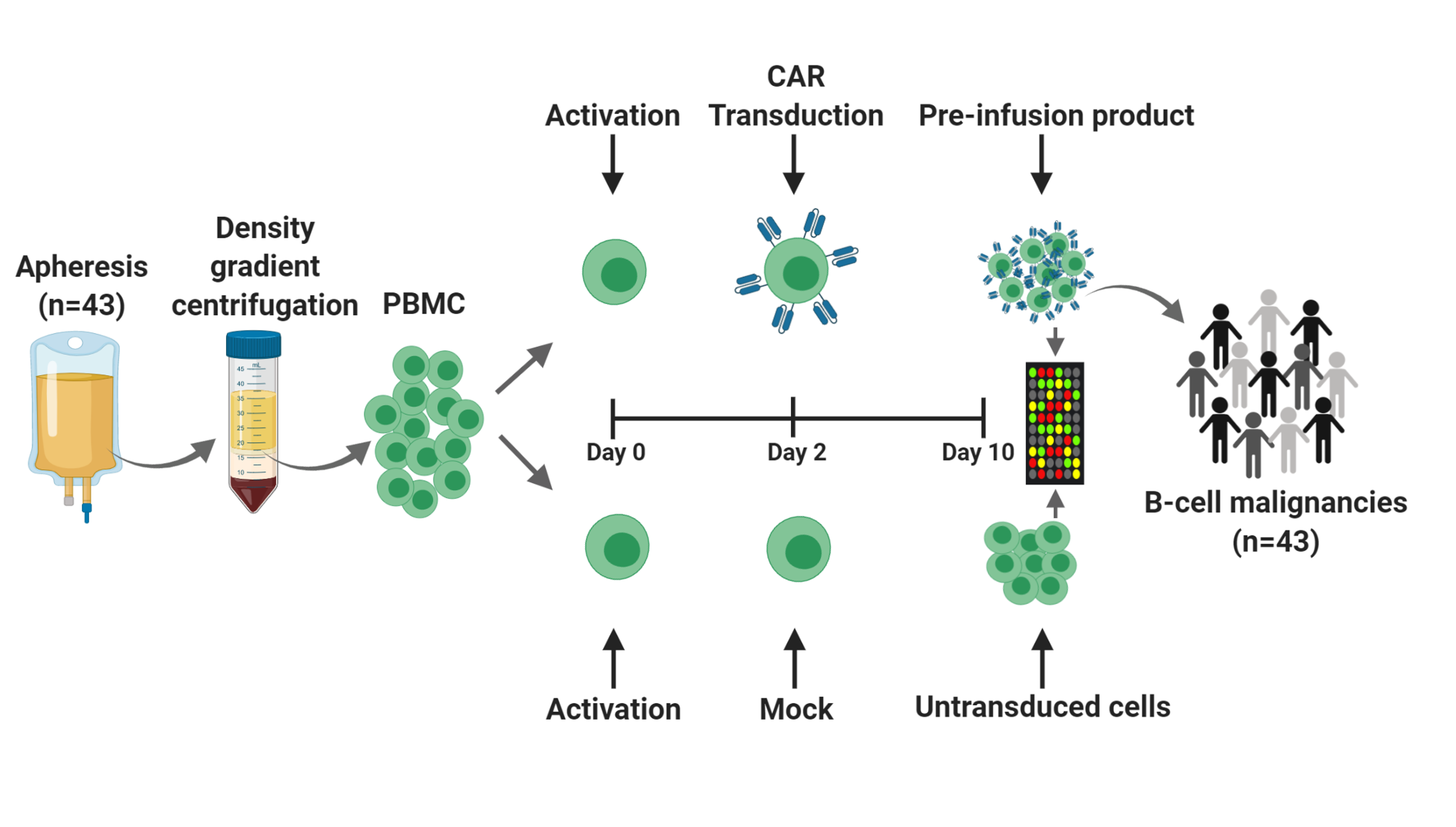 EPICART DNA methylation kit for the prediction of the response to CAR T-cell therapy.