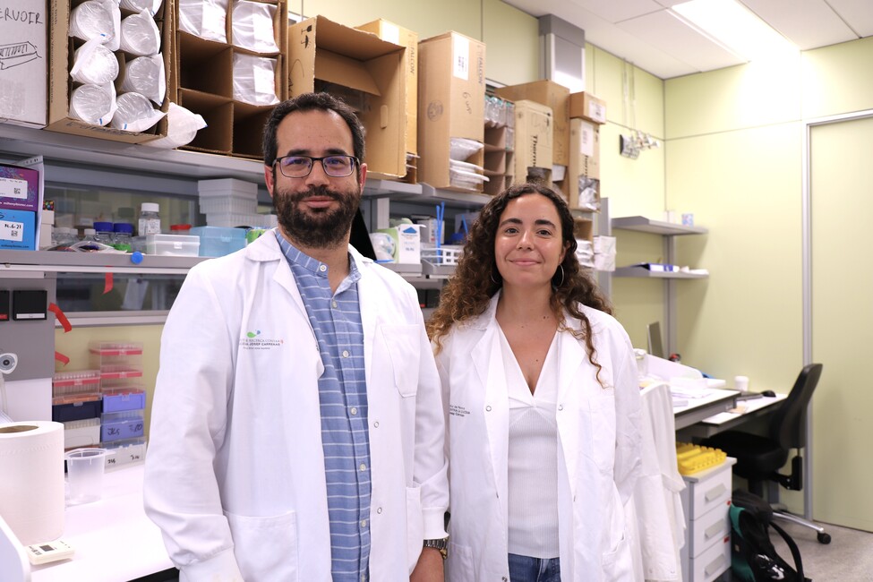 Epigenética a la carta para combatir las enfermedades inflamatorias