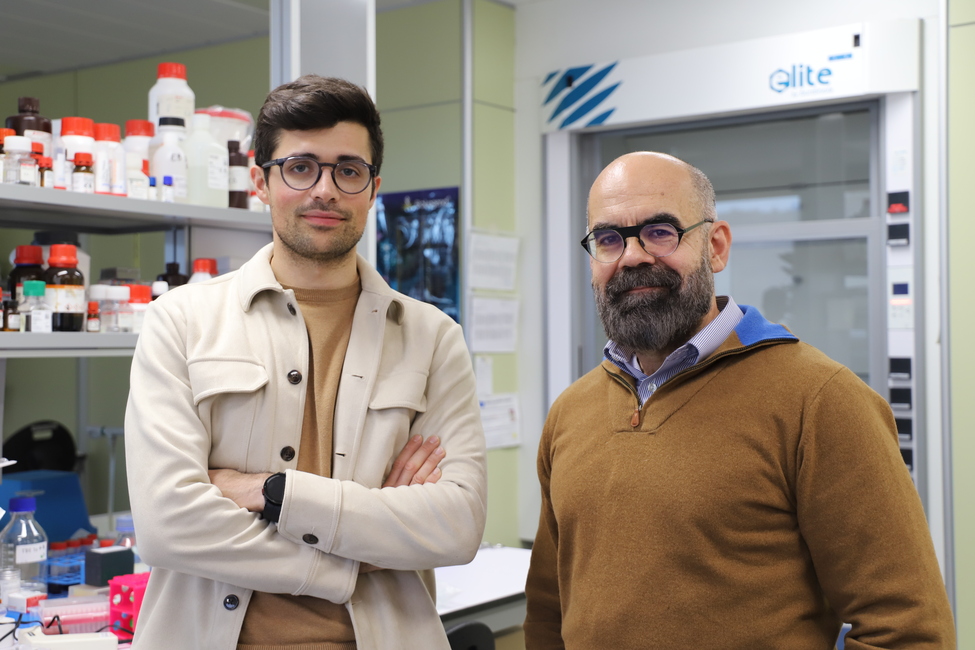 El nuevo Atlas de la Microglía Humana permite comprender el papel de estas células inmunitarias en enfermedades neurodegenerativas