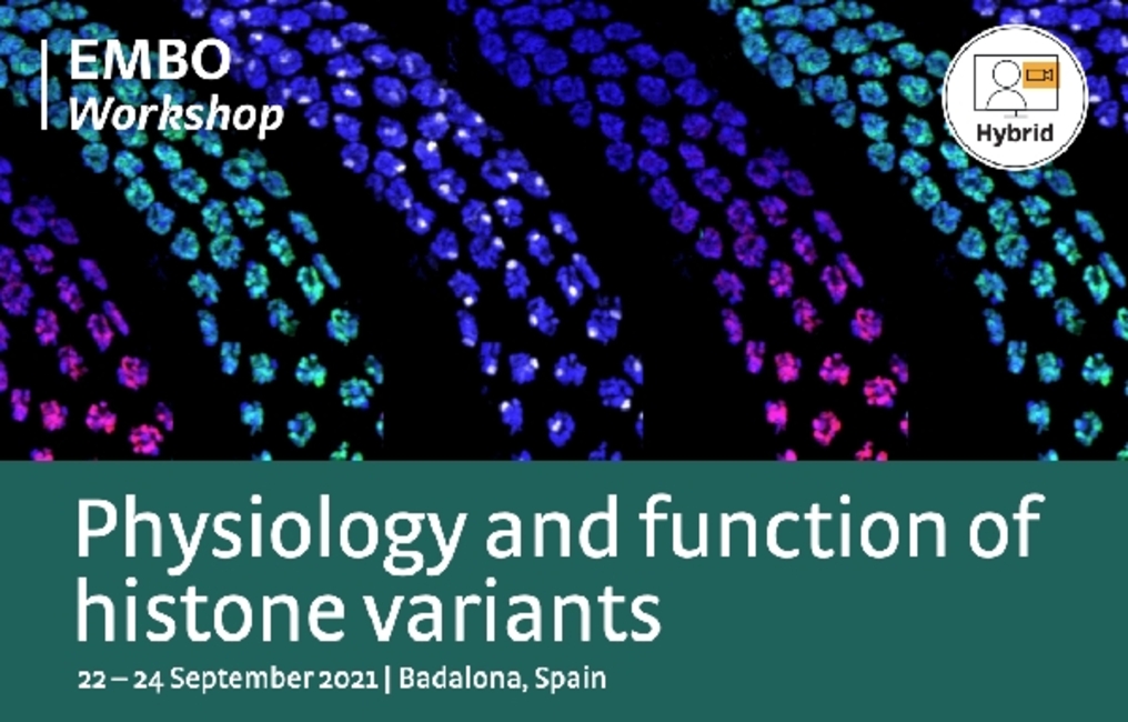 The Josep Carreras Leukaemia Research Institute organizes the EMBO Workshop: Physiology and function of histone variants