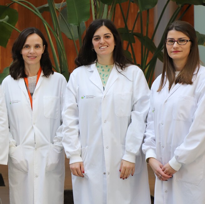 The power of genetic testing to assess the risk of T-cell Acute Lymphoblastic Leukaemia
