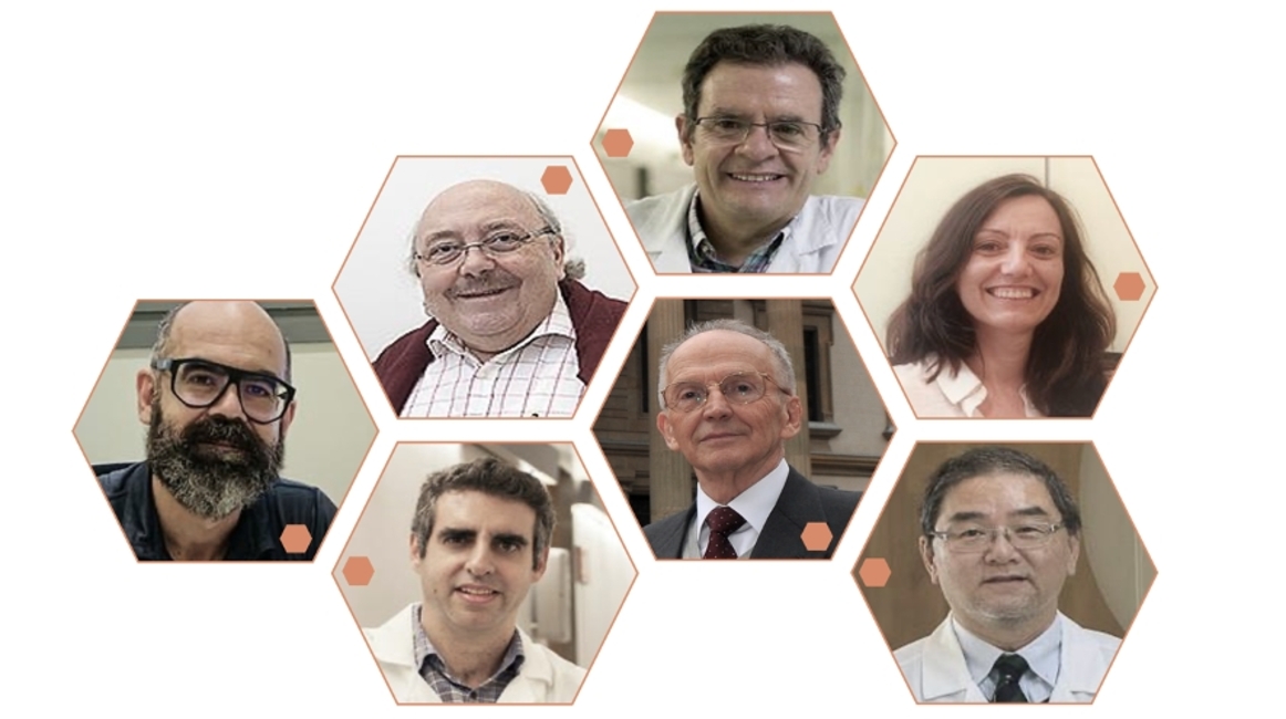 Seven investigators of the Josep Carreras Institute are recognized between the researchers with the most impact on world level