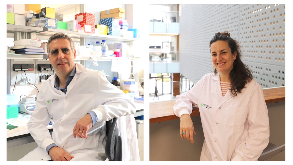 Las enfermedades cardiovasculares, también en el punto de mira de los investigadores del Instituto Josep Carreras