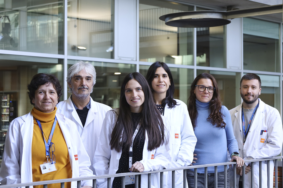 Identifican vía superar resistencia tratamiento en un tipo de leucemia