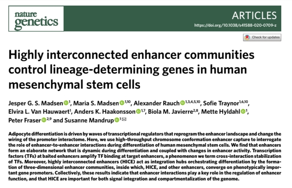 New enhancer communities isolated in 3D space