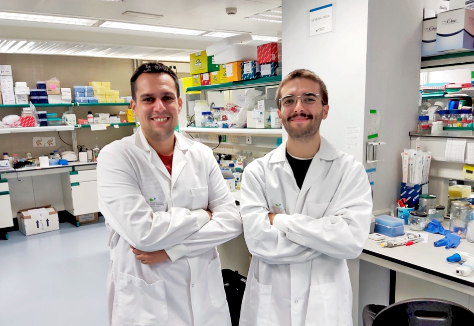 Researchers from the Hospital 12 de Octubre and the Josep Carreras Institute create a cell therapy based on STAb cells for a type of leukemia with few treatment options