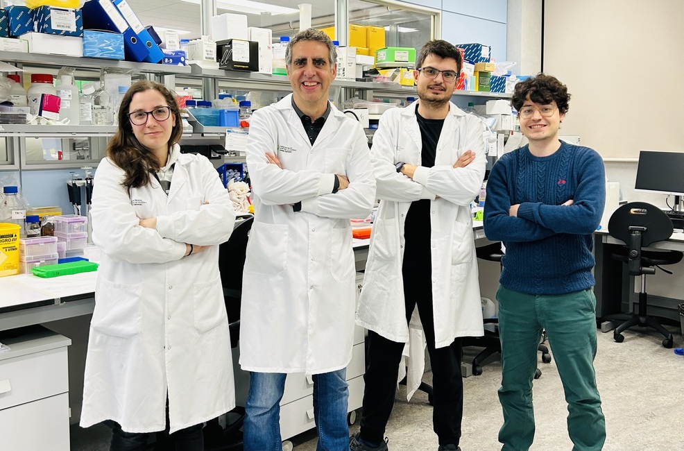 A study by the Cancer Epigenetics group selected among the best articles in leukemia
