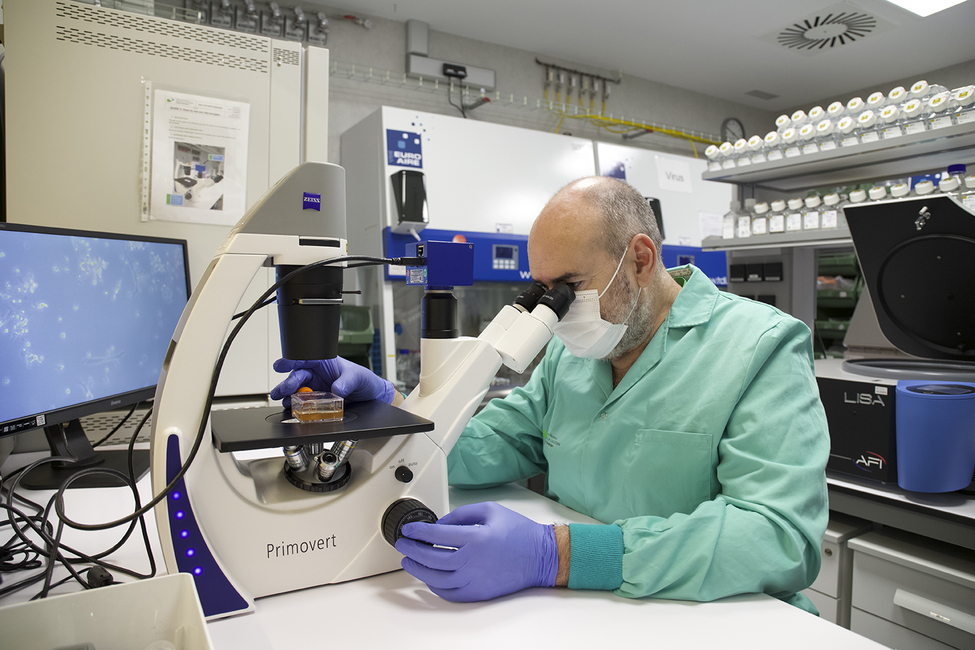 The Josep Carreras Institute opens a new Cell Immortalization Unit