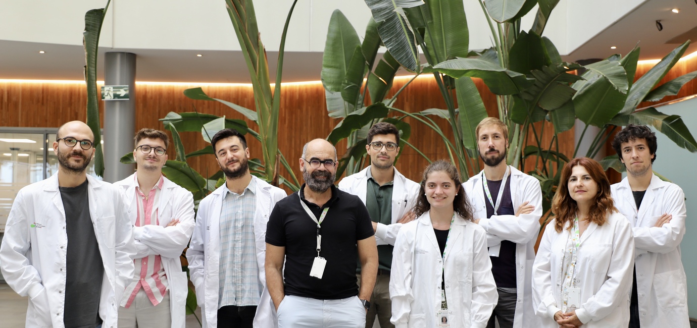 Els baixos nivells d'oxigen als tumors podrien potenciar algunes respostes immunitàries contra el càncer