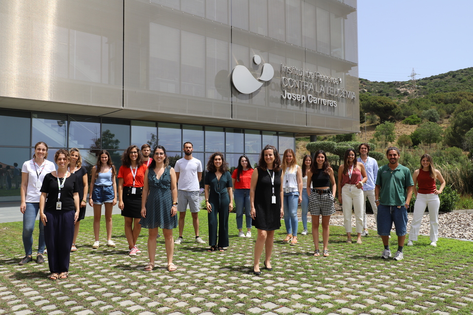 New research from the Josep Carreras Institute identifies a key protein in blood vessel’s growth