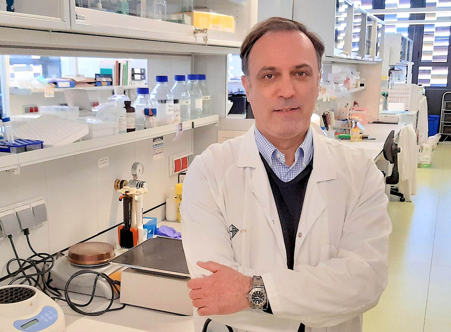 Launch of a clinical trial with CAR-T against lymphoma, developed by Dr. Briones, member of the Josep Carreras Institute